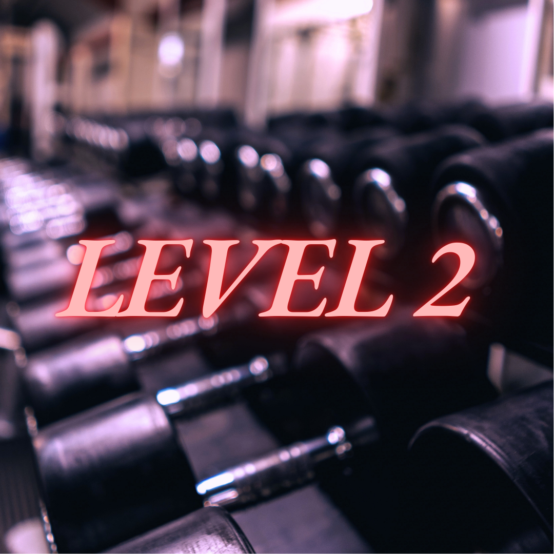 Level 2 Fitness E-book